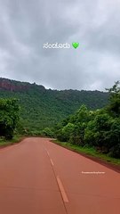 "Nature: The Symphony of Life"