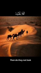 أجمل تلاوة قرآنية 