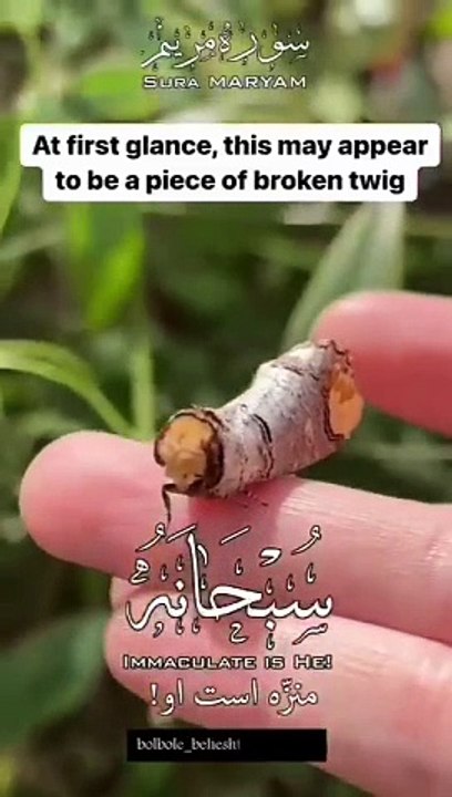 Facebook 79