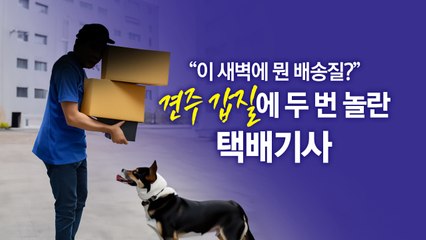 "이 새벽에 뭔 배송질?" 중형견 택배기사 위협에 견주는 '갑질' [앵커리포트] / YTN