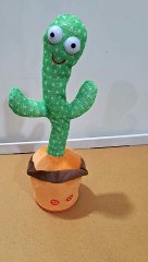 Discover the Timeless Charm of Bollywood Classics 🌵