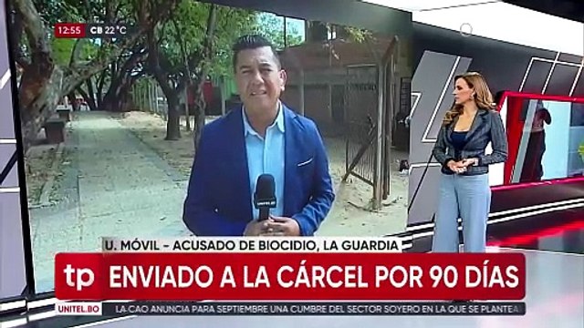 ​Dictan 120 días de detención preventiva para extranjero que atropelló y mató a dos perros