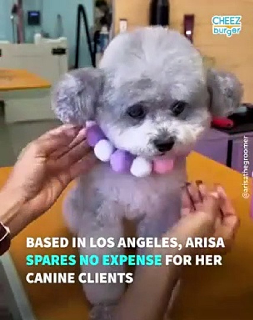 ⁣Glamorous Doggy Makeovers Using Japanese Style Dog Grooming