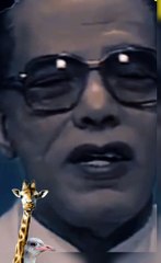 التنوع اللانهاءيى فى الخلق إبداع الله