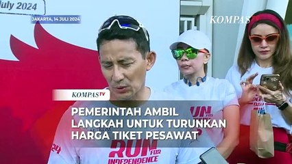 Pemerintah Ambil Langkah Turunkan Harga Tiket Pesawat