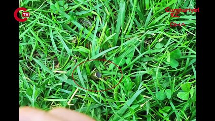 KPSS'nin ikinci oturumunu beklerken başına yorgun mermi isabet etti: Bütün emeklerim gitti