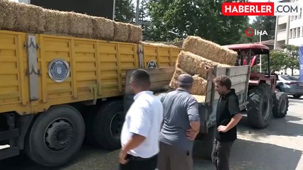 Büyükşehirden çiftçiye destek...Başkan Bozbey kendi elleriyle dağıttı