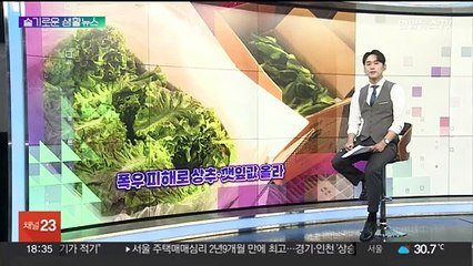[슬기로운 생활뉴스] 폭우 피해로 상추·깻잎값 올라 外
