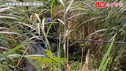 宜蘭太平山遊客亂丟便當盒遭曝光，網友怒批並將開罰🚯