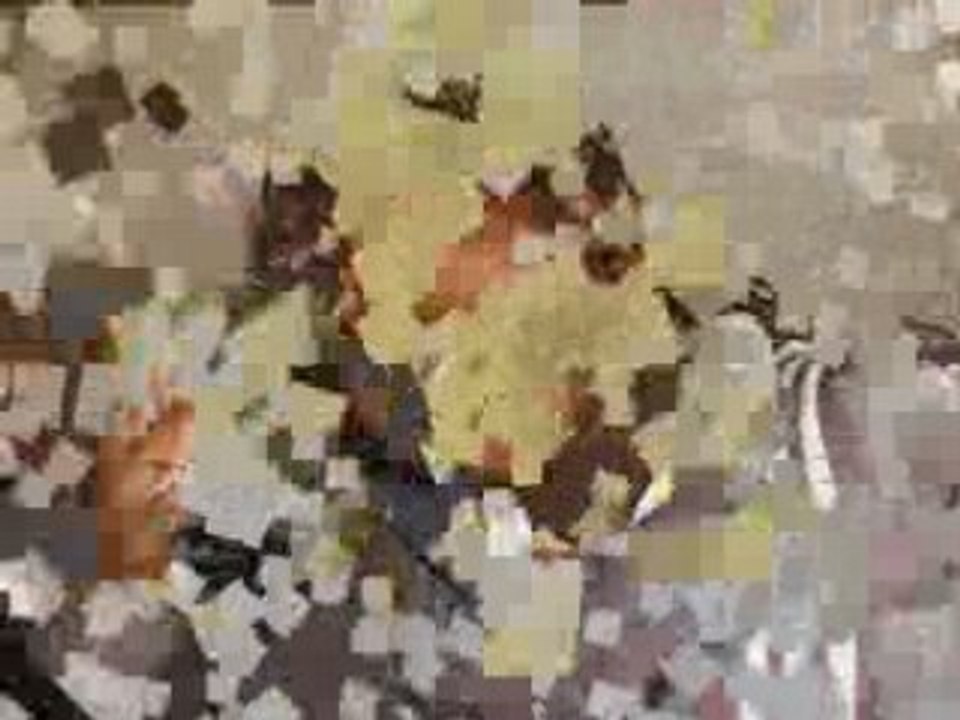 SansTitre_0002