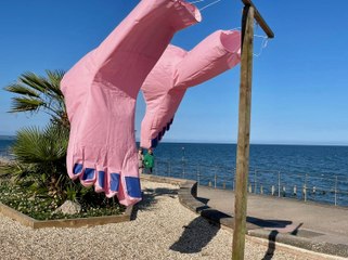 CarbonFootprintTRAIL: 2024 Teignmouth Art 🌿