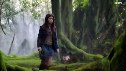 Moved by the lantern’s story,