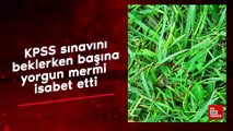 Diyarbakır’da KPSS sınavını beklerken başına yorgun mermi isabet etti