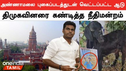 Скачать видео: Annamalai Photo-வுடன் வெட்டப்பட்ட ஆடு | கண்டித்த நீதிமன்றம் | BJP | Oneindia Tamil