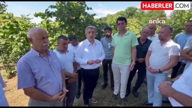 CHP Samsun Milletvekili Murat Çan, Fındık Üreticilerinin Sorunlarını Dile Getirdi