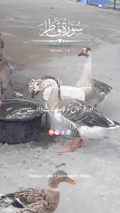 #surah fatar#Islamic  content alquran,islamic shorts,naat,qawal