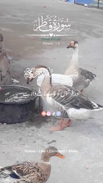 #surah fatar#Islamic content alquran,islamic shorts,naat,qawal