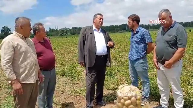 CHP'li Gürer patates fiyatlarına isyan etti: 10 TL'ye mal ediliyor, 4 TL'ye satılıyor; büyükşehirlerde 40 TL!
