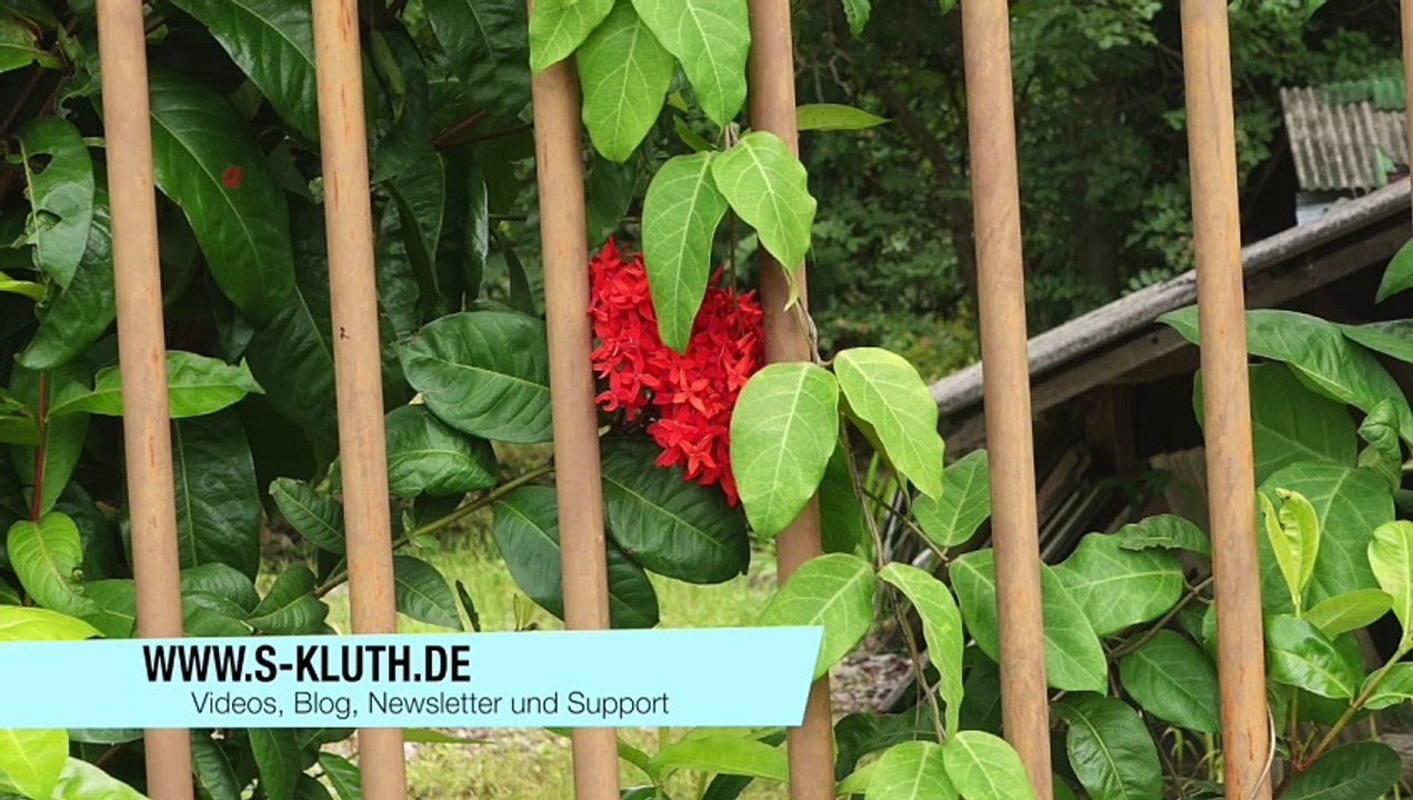 12 Erfolksfaktoren fürs Auswandern