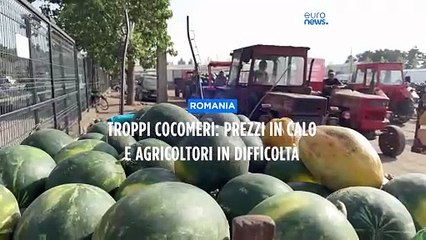 Nel sud della Romania, il mercato dei cocomeri è saturo e gli agricoltori sono nei guai