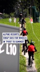 Alpine resorts swap skis for wheels in ‘pivot to summer’