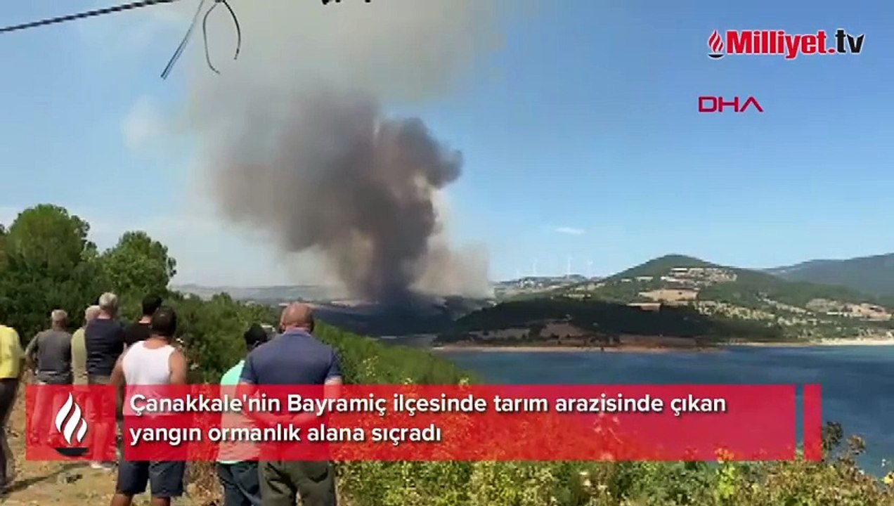 Çanakkale'nin Bayramiç ilçesinde orman yangını