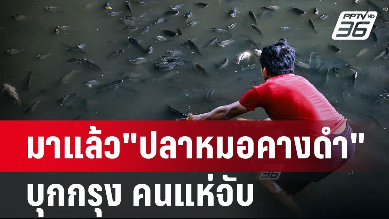 มาแล้ว"ปลาหมอคางดำ"บุกกรุง คนแห่จับ | เข้มข่าวค่ำ | 15 ก.ค. 67