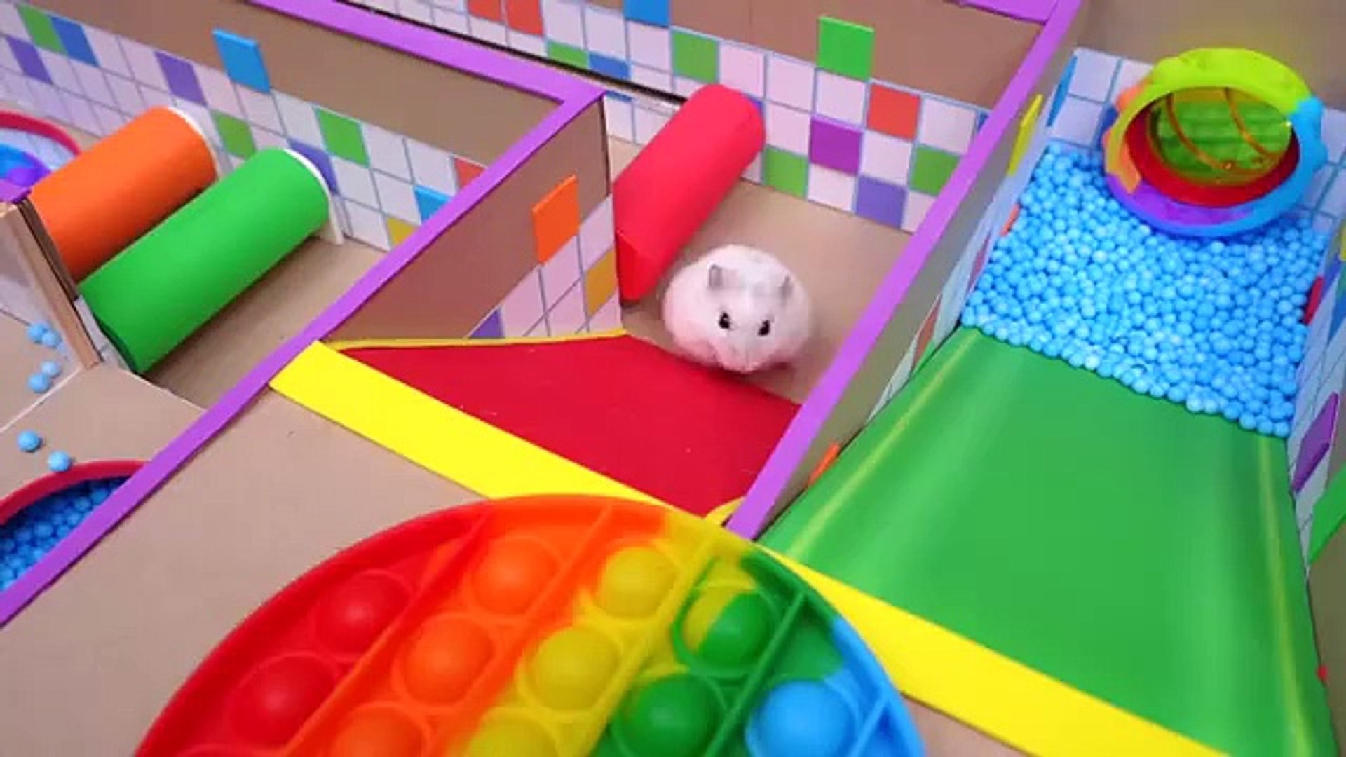 pets fun