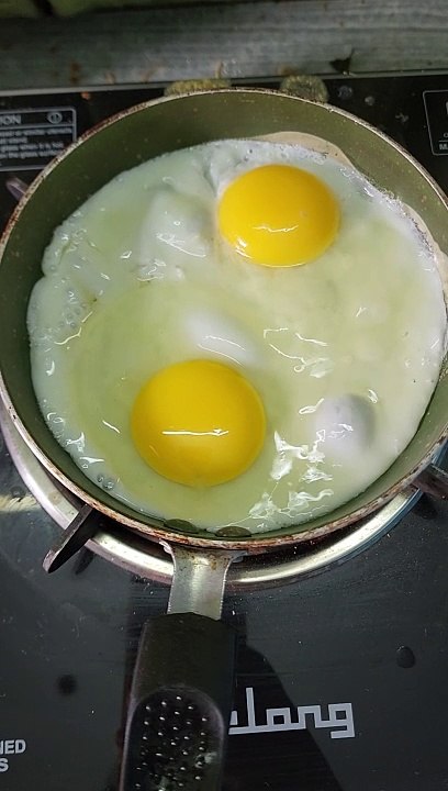 Egg Omelette