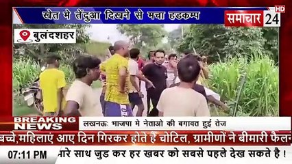 Bulandshahr: खेत में तेंदुआ दिखने से मचा हड़कंप