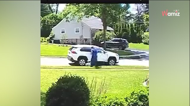 Woman tries to abandon dog: She has no idea she's being recorded (video)