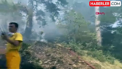 Bolu Göynük'te Ormanda Çıkan Yangın Kontrol Altına Alındı