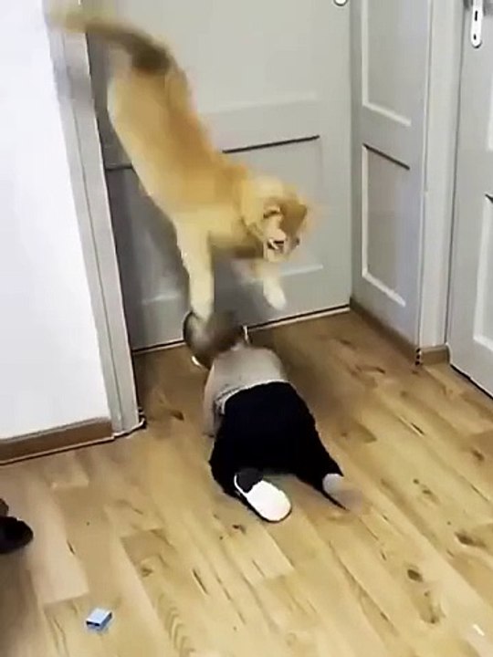 Funny video