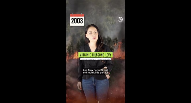 Sécheresse : les feux de forêts aggravés par le réchauffement climatique