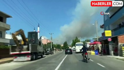 Bayramiç'te orman yangını