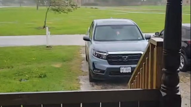 'We're Getting Wrecked!' - Chilling glimpse of uprooted tree during Hurricane Beryl