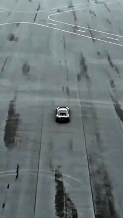 Are you a car lover