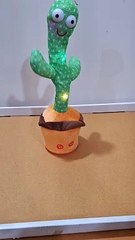 Dancing Cactus Does Bollywood Dialogues