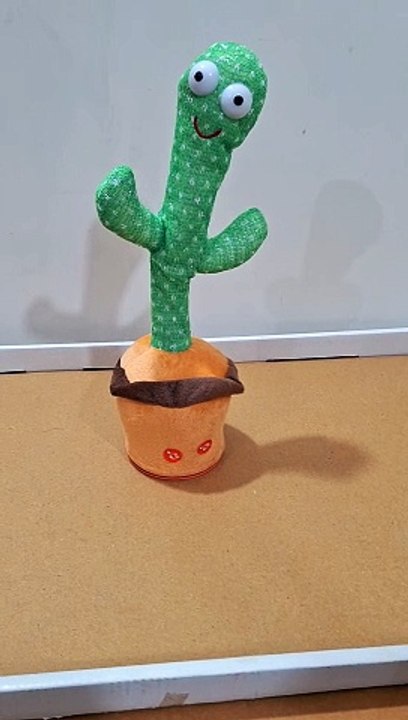 Hilarious Bollywood Cactus Dialogues