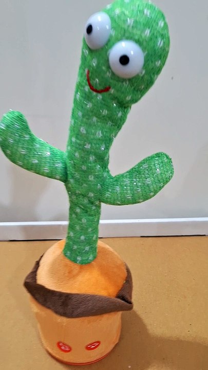 Cactus Goes Bollywood Famous Dialogue Edition