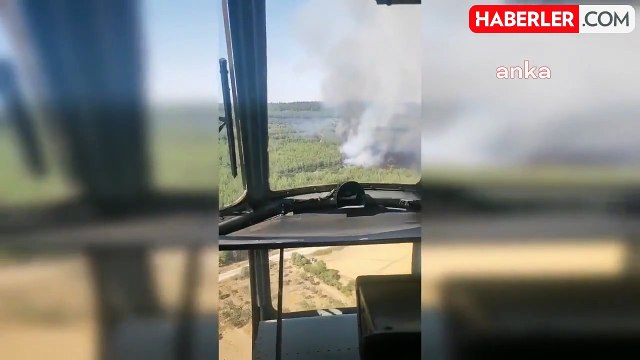 İzmir'in Menderes ilçesinde ormanlık alanda yangın çıktı