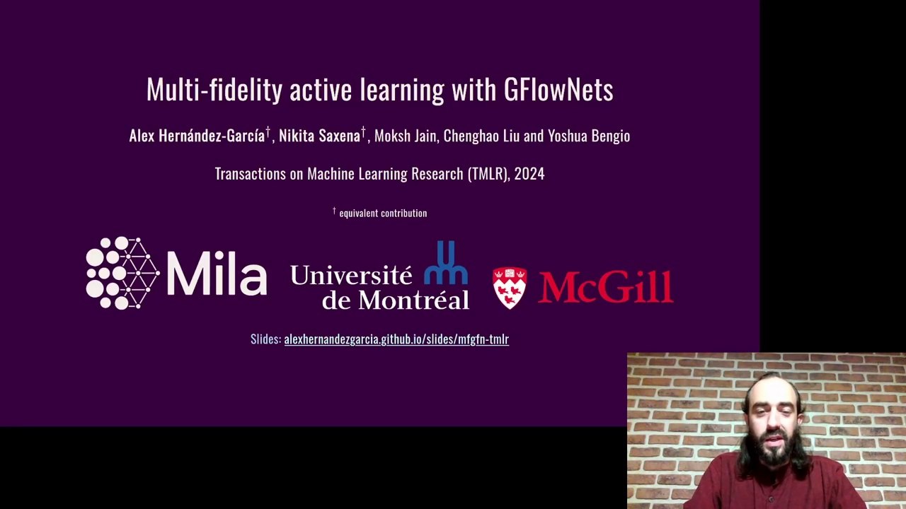 Multi-fidelity active learning with GFlowNets
