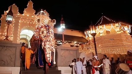 Drums Aligned | දෙව්පුර ඇතෙකි | 2023 Esala Perahera Song For Nedungamuwe Raja | Gajaga EDM | Dewpura Atheki Song