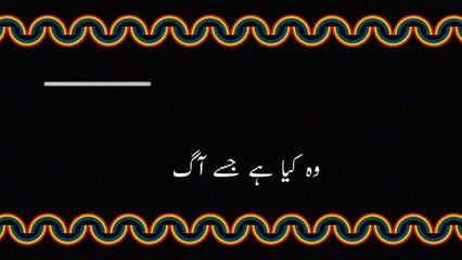 Best Urdu & Hindi Riddles for Everyone 🧩