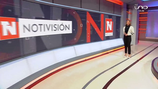 CHOFER ATROPELLÓ Y MATÓ A DOS PERROS