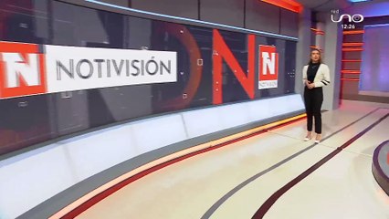 CHOFER ATROPELLÓ Y MATÓ A DOS PERROS