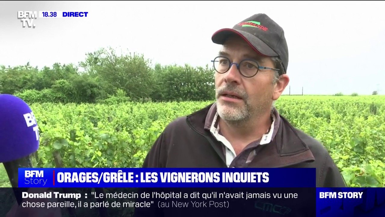 Orages: face aux potentiels dégâts, des vignerons mettent en place des générateurs anti-grêle