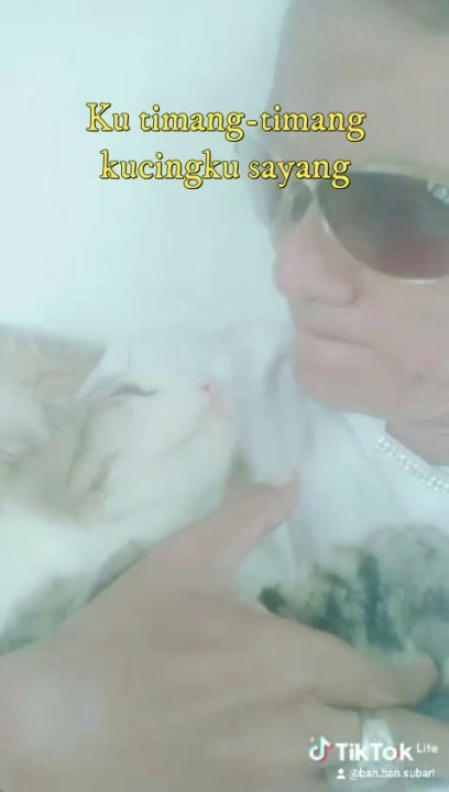 Grandfa loves cat