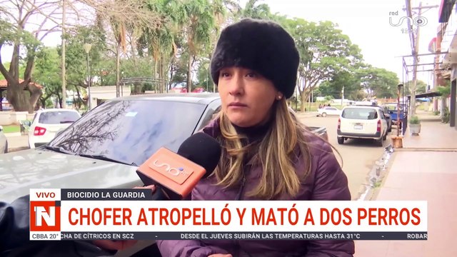 CHOFER ATROPELLÓ Y MATÓ A DOS PERROS