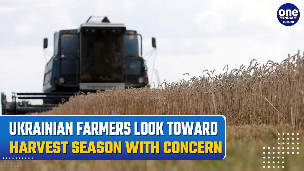 Ukraine: Farm Labour Shortage Impacts Crop Hauling Amid Low Prices | Video